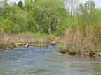 kayak approaching small beaver dam